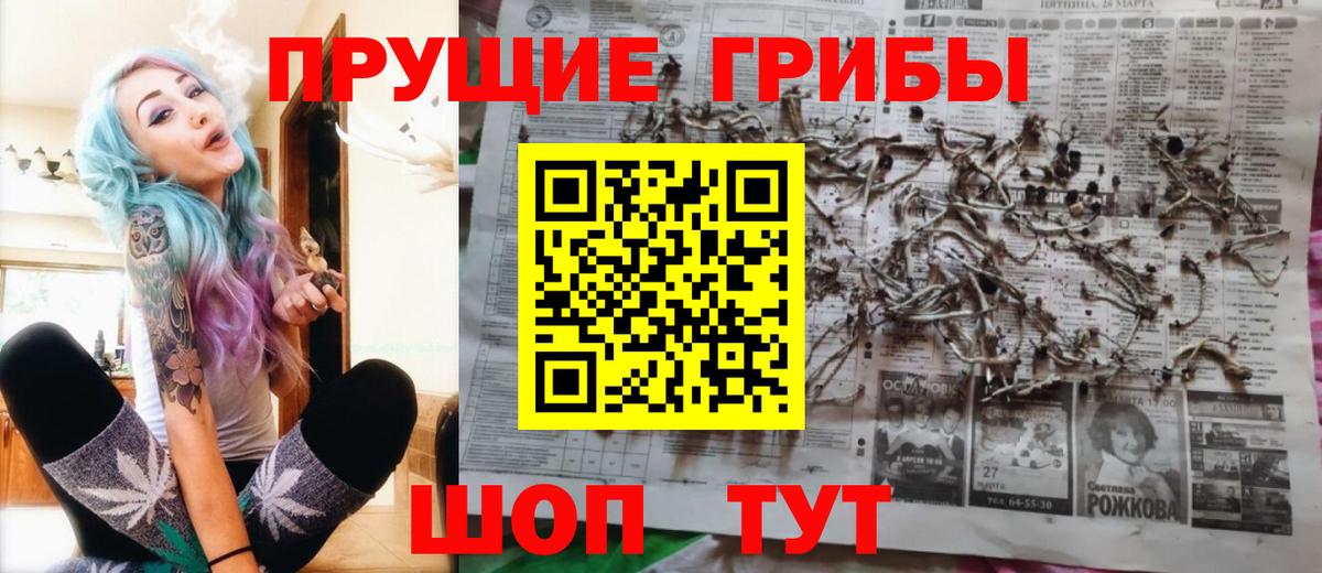 Еманжелинск  Псилоцибиновые грибы мицелий  Вход с VPN 